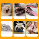 Kit Higiene Bucal Pet Clean