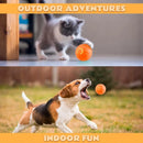 Brinquedos para animais de estimação Bola de diversão elétrica por gravidade Bola quicando inteligente para cães e gatos