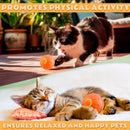 Brinquedos para animais de estimação Bola de diversão elétrica por gravidade Bola quicando inteligente para cães e gatos